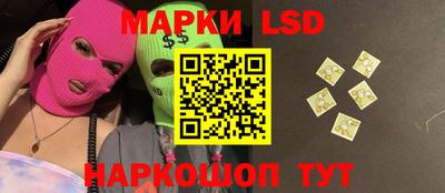 a pvp Дубна