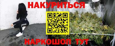 a pvp Дубна