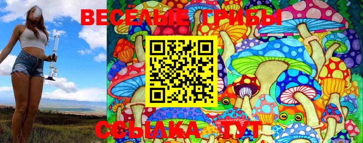 Галлюциногенные грибы GOLDEN TEACHER Мариинск