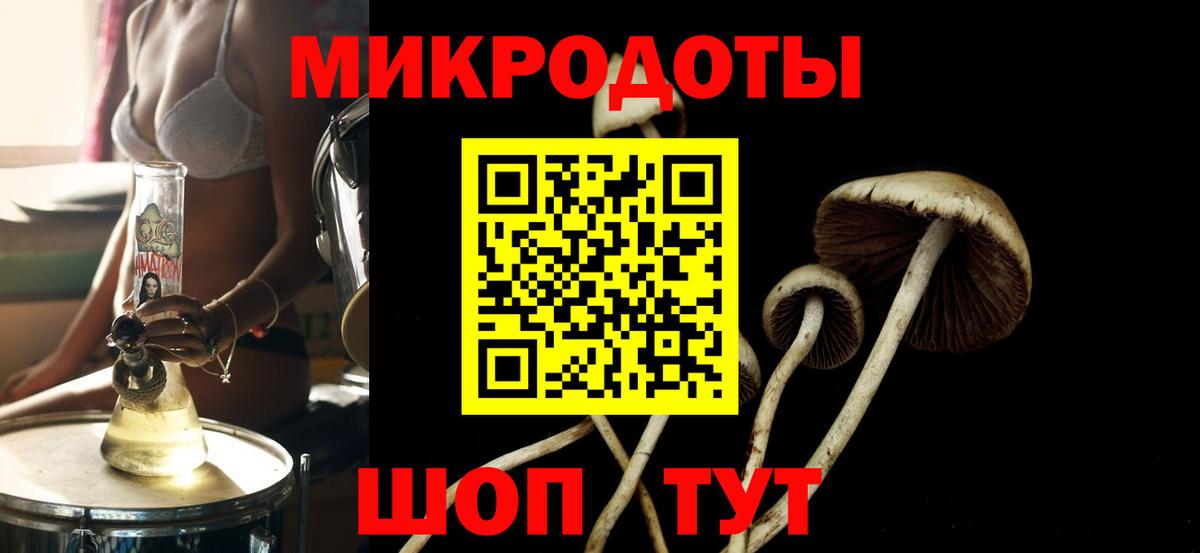 Галлюциногенные грибы Magic Shrooms  Галлюциногенные грибы Psilocybine cubensis  Мариинск 